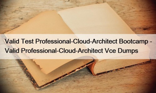 Valid Test Professional-Cloud-Architect Bootcamp - Valid Professional-Cloud-Architect Vce ...